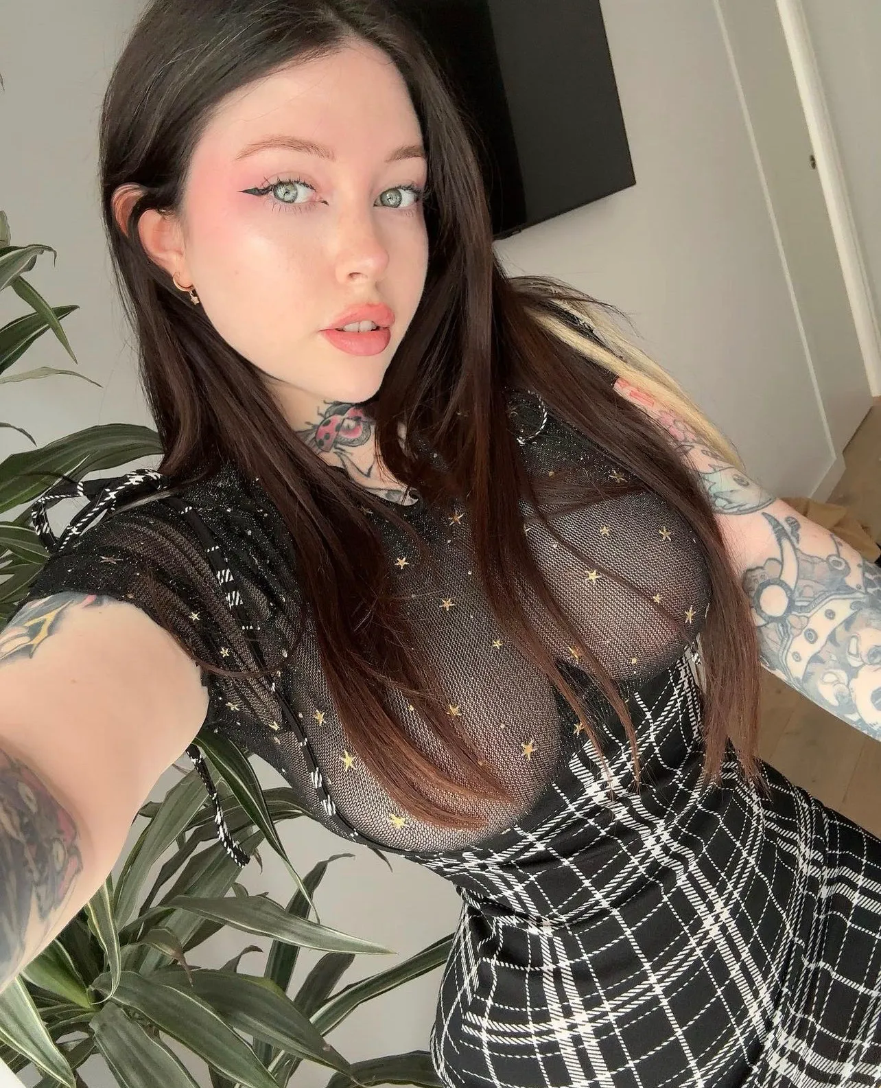 Melisa