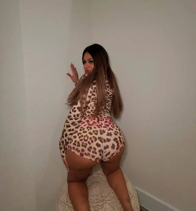 Teddybear