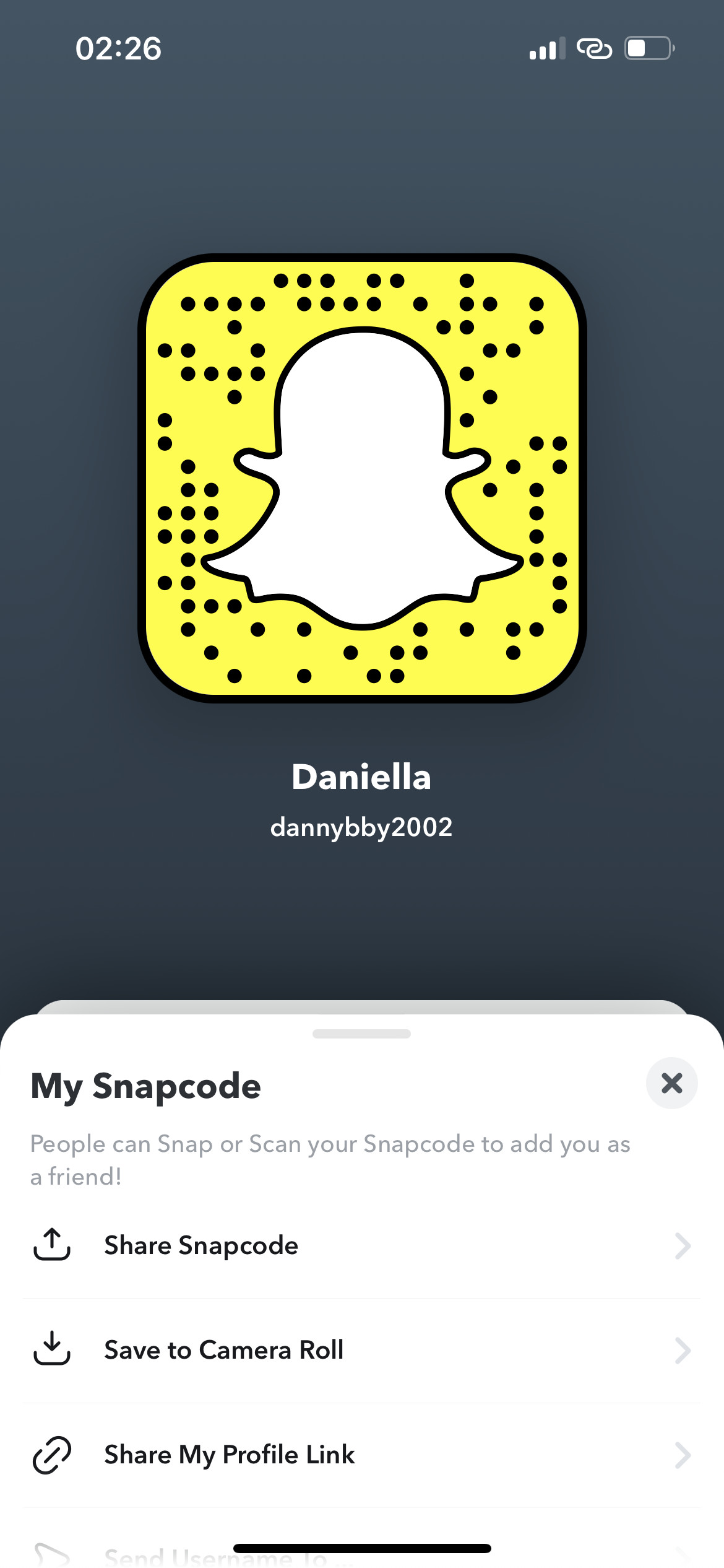daniellarazzy