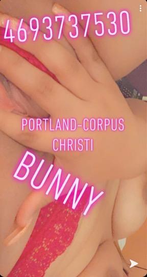 Bunny