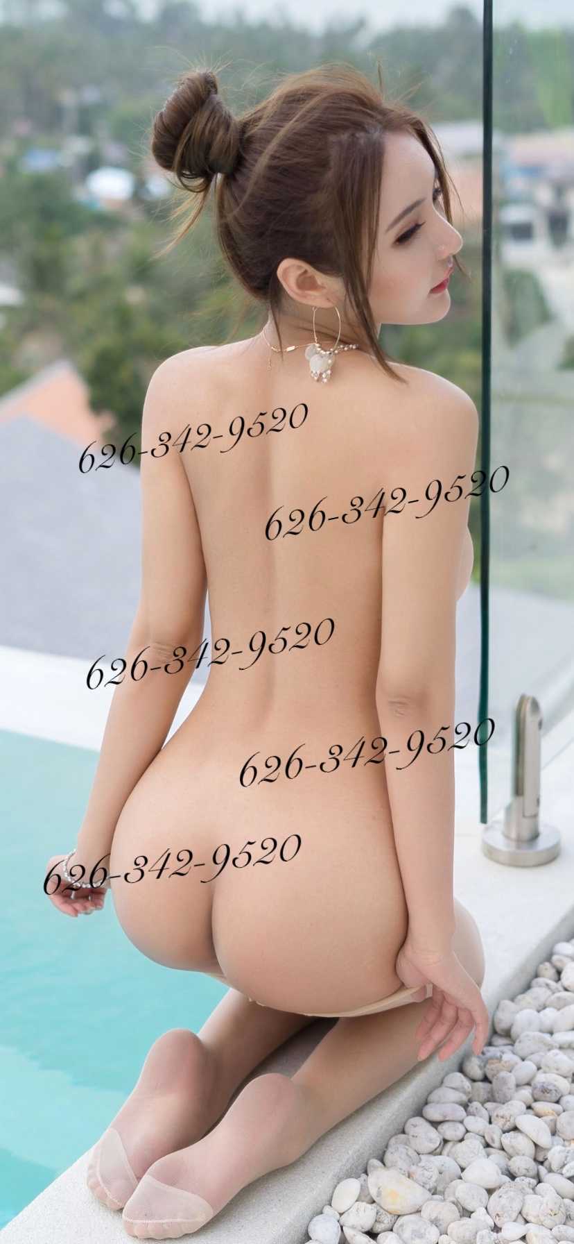 6263429520